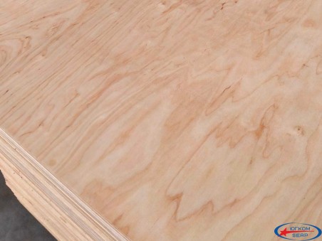 Фанера ФСФ шліфована 2500х1250х9,5 мм 3/3 (CP/CP) Ш2 Jager		